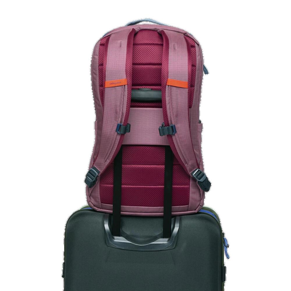 Cotopaxi Allpa 26L Daypack - Picture 6 of 11